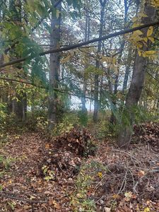 LOT 7 Lake Forest Dr, Birchwood, TN, 37308