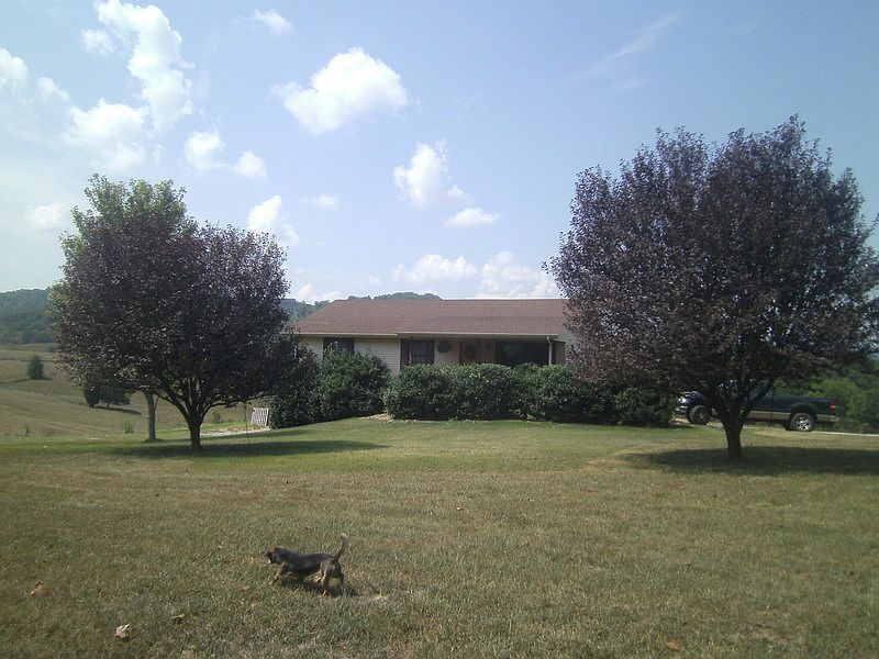 1st image of 1975 Saunders Grove Dr