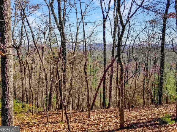 31 Eagle Talon Trl, Sautee Nacoochee, GA 30571