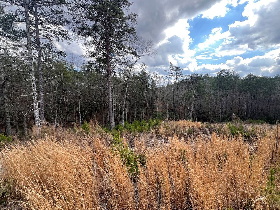 2nd image of LOT 10 Mountain Laurel Dr