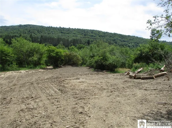 0 Bozard Hill Rd, Great Valley, NY 14741