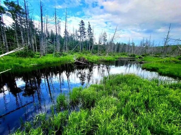 Lot 11 Morrison Brook Acres, Oakfield, ME 04763