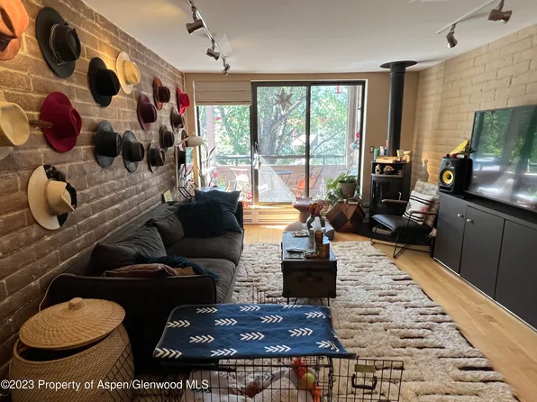 235 Vine St #235, Aspen, CO 81611