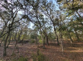 9171 NE 99th Ave LOT WP001, Bronson, FL 32621