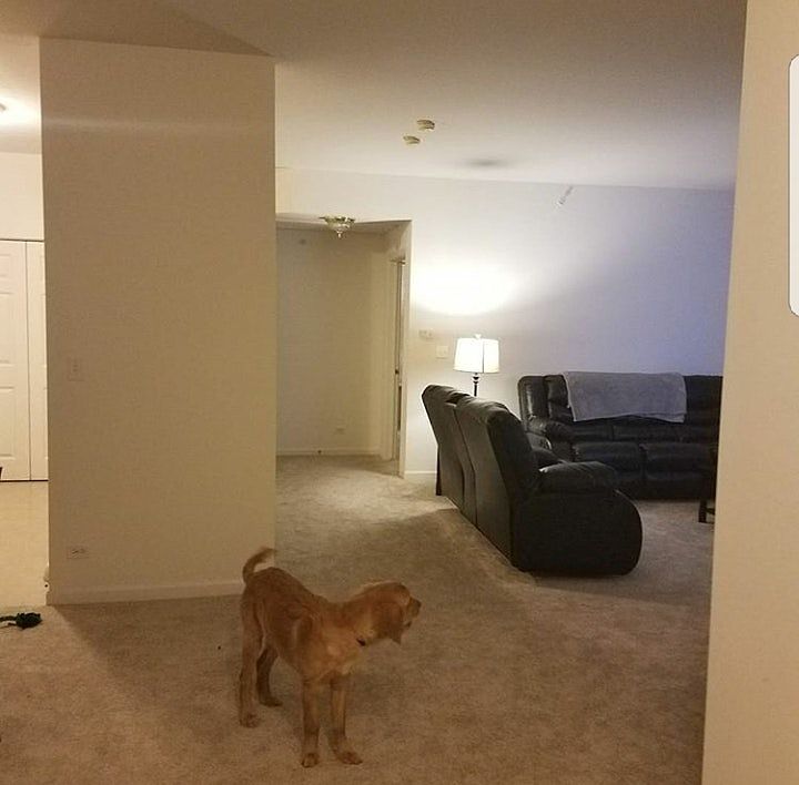 1st image of 857 Sanctuary Dr APT 308B
