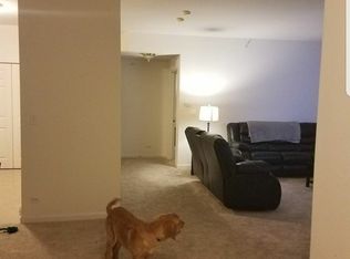 857 Sanctuary Dr APT 308B, Lake Villa, IL 60046