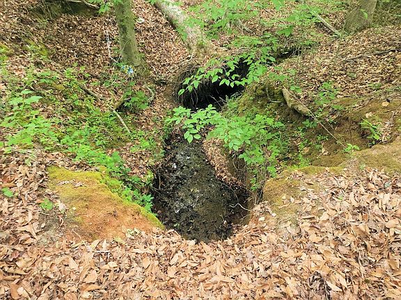4th image of (Undisclosed Address)