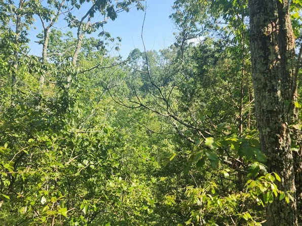 140 Locust Cv, Holladay, TN 38341