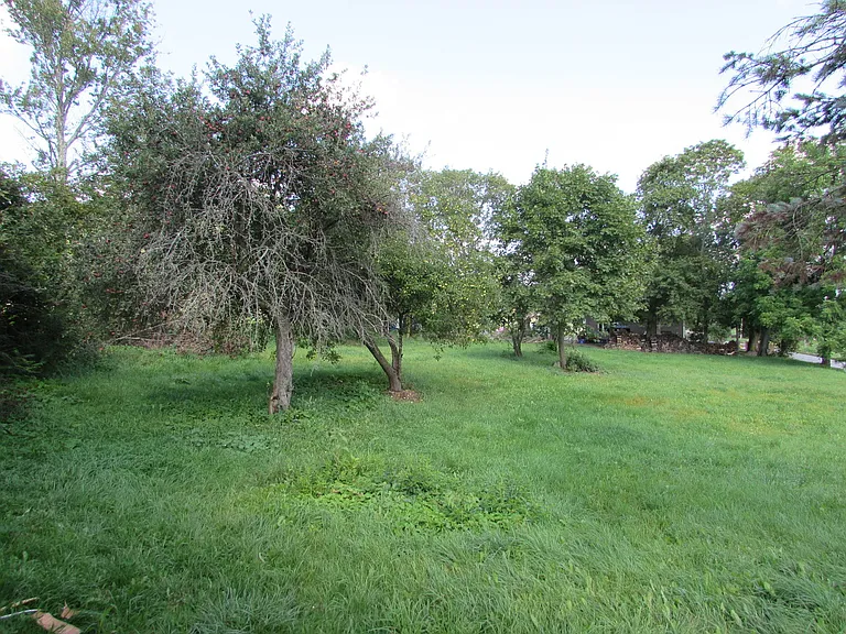 4865 Long Run Rd — Photo 5