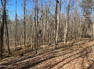 0 Goose Pond Rd, Tyringham, MA 01264