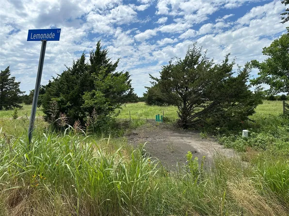 LOT 7 Lemonade Ln, Farmersville, TX 75442