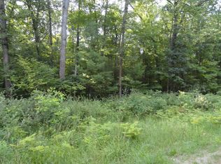 6318 N Mac Rd, Irons, MI 49644