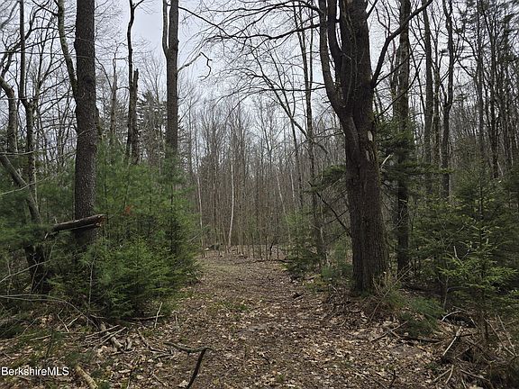 5th image of Magee Rd