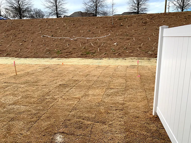 Back yard
