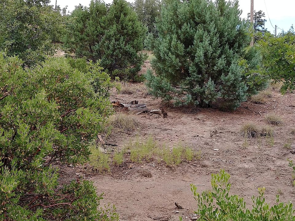 1st image of 6313 Fawn Ln