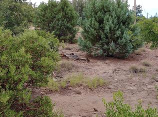 6313 Fawn Ln, Show Low, AZ 85901