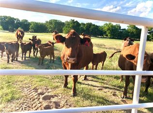6150 Highway 6 E, De Leon, TX 76444