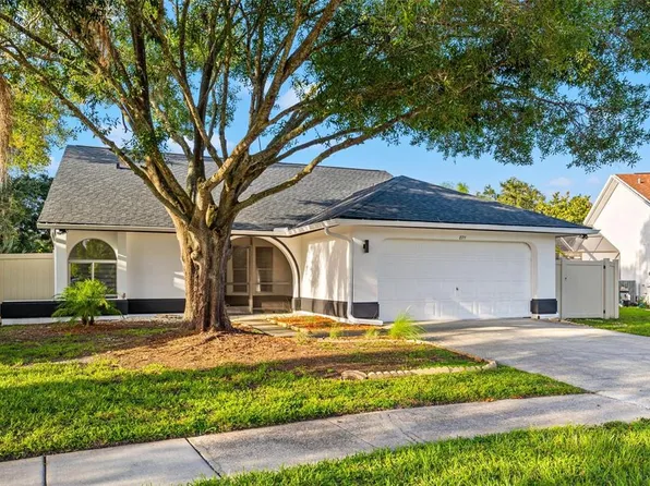 8711 BOYSENBERRY DRIVE, TAMPA, FL 33635