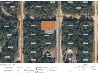 0 Dawn Ave #20, Interlachen, FL 32148