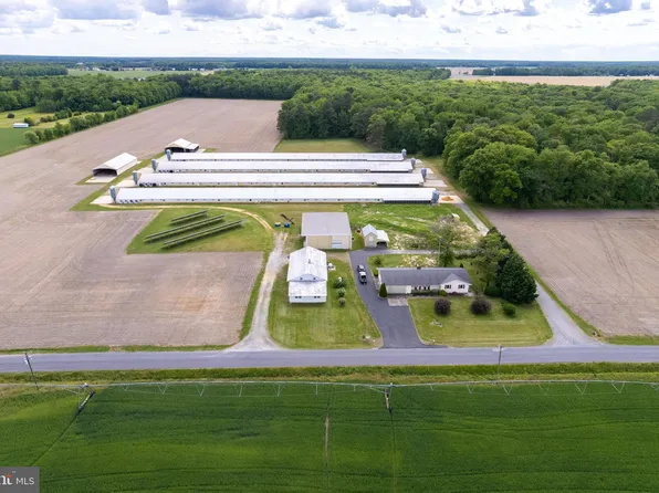 14564 Blanchard Rd, Bridgeville, DE 19933