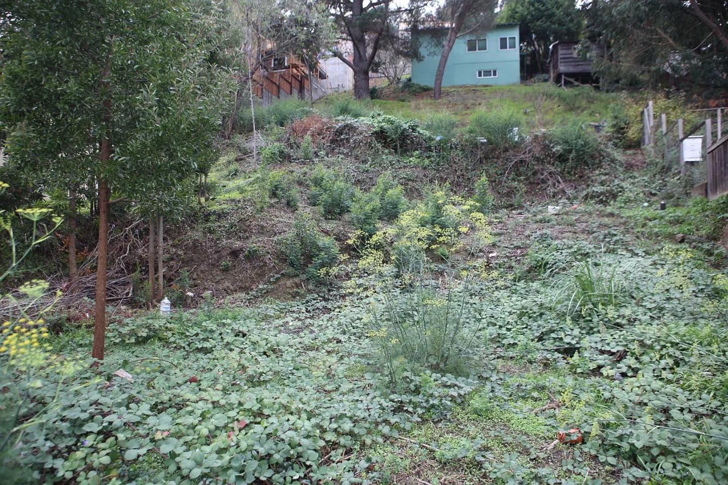 670 Sierra Point Rd photo 1