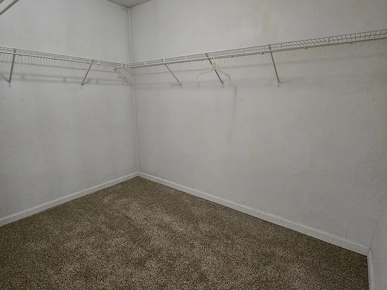 4927 Bristle Cone Cir — Photo 12