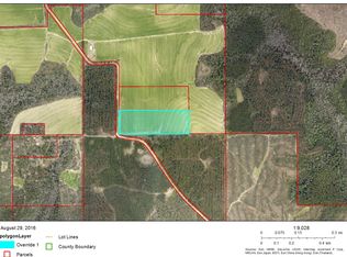 34770 Brady Rd, Robertsdale, AL 36567