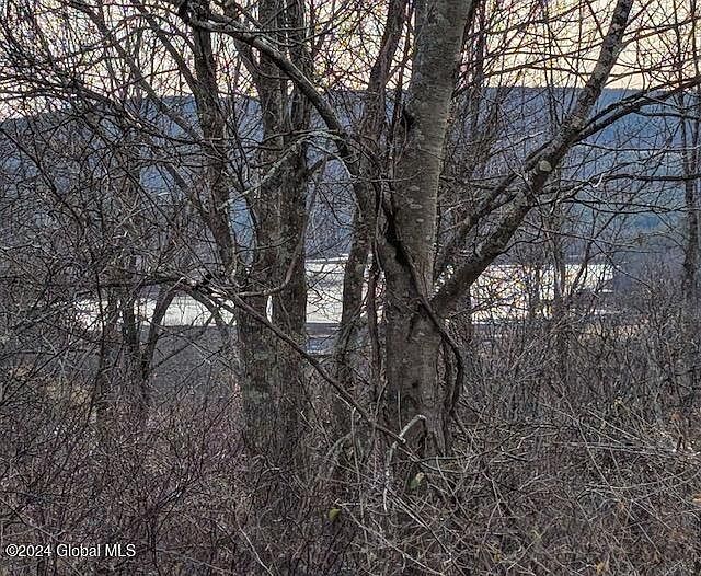 2nd image of 132 Debar Hill Road #1