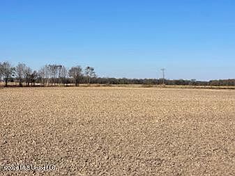 3rd image of Rosemary Rd