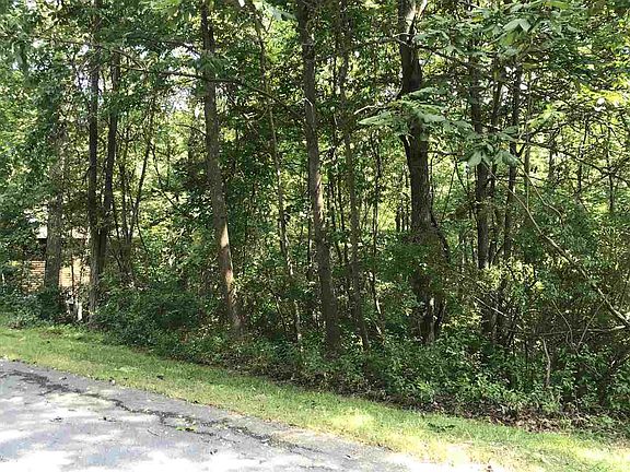 2nd image of 245 Deer Dr