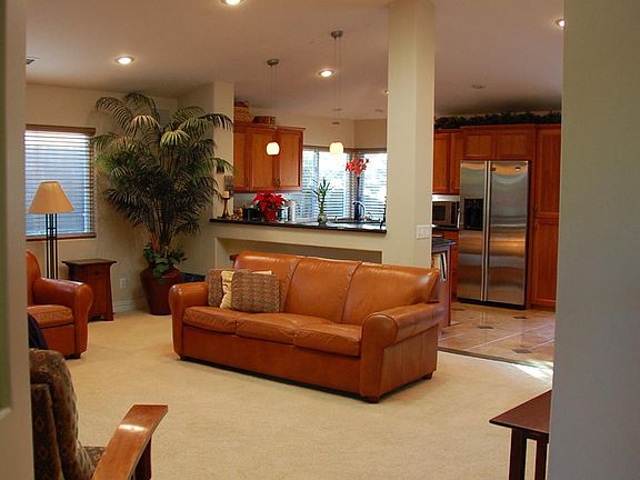 Entry/Living Room