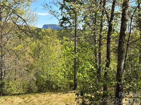 284 Bear Cliff Cir, Nebo, NC 28761