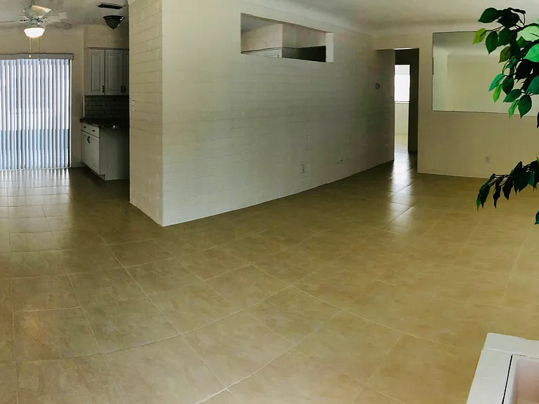 Living Room / Dining Room