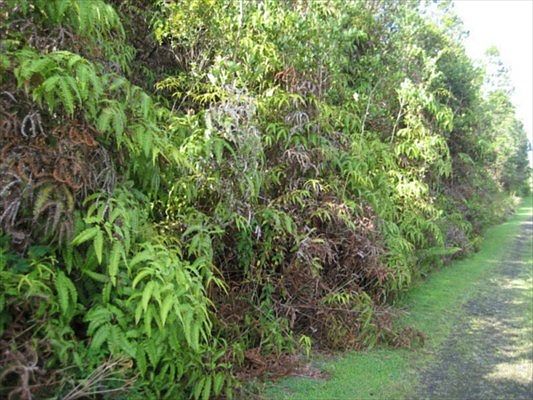 3rd image of 11-1838 Amakihi St Lot 42