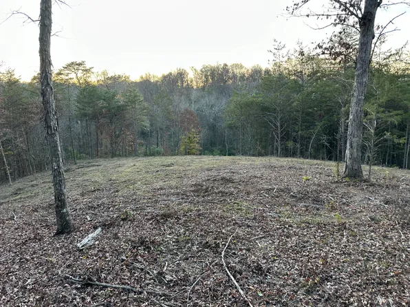 LOT 1 Dandelion Dr, Newport, TN 37821