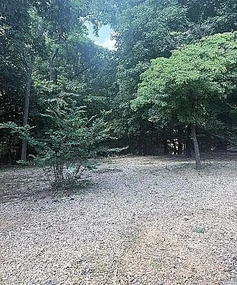 Back yard leads to the creek and trails behind