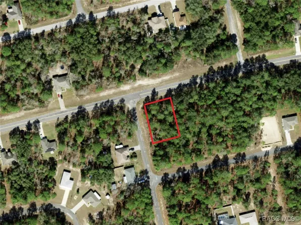 7351 N Waycross Way, Citrus Springs, FL 34433