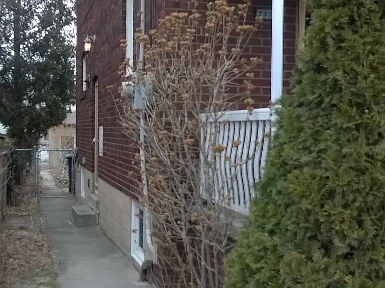 705 Old Weston Rd — Photo 3