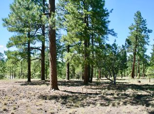 2248 Boulder Dr, Happy Jack, AZ 86024