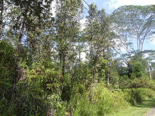 1st image of Road 10 Poouli Lot 5762