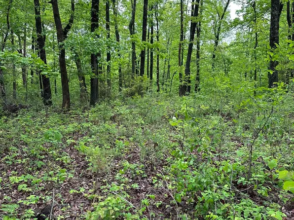 40ACRE S Herpel Rd, Mountain View, AR 72560