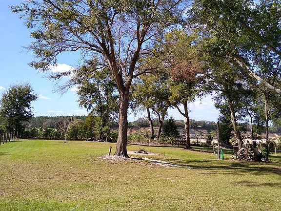 Back yard view