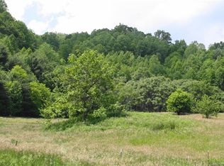 1240 S Fork Rd, Marshall, NC 28753