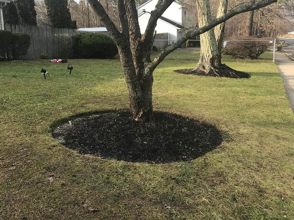 2nd image of 1754 Ridge Ave
