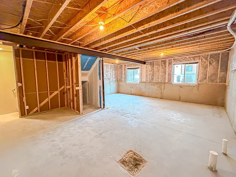 Unfinished Basement