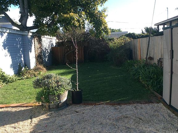 Yard