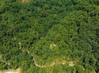 336 Brush Creek Rd #11, Bryson City, NC 28713