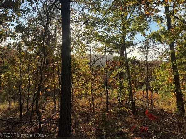 Bengal Rd, Talihina, OK 74571