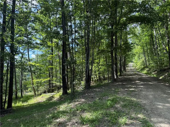 Wp01 Route Grv #70, Swain, NY 14884