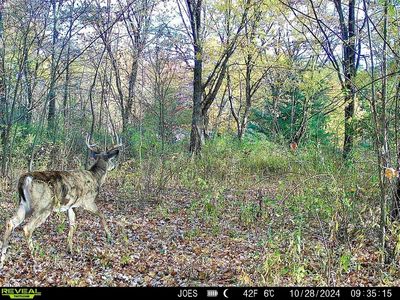 334 State Route 314, Centerburg, OH, 43011